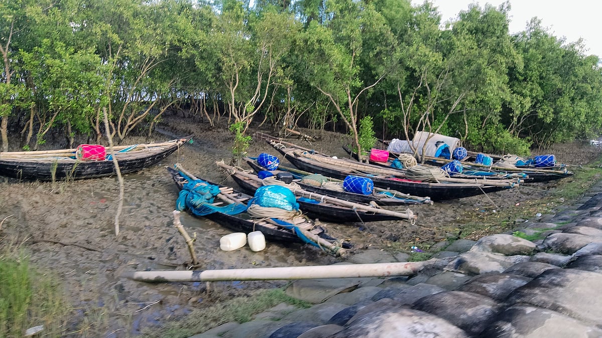 ছবি: প্রথম আলো