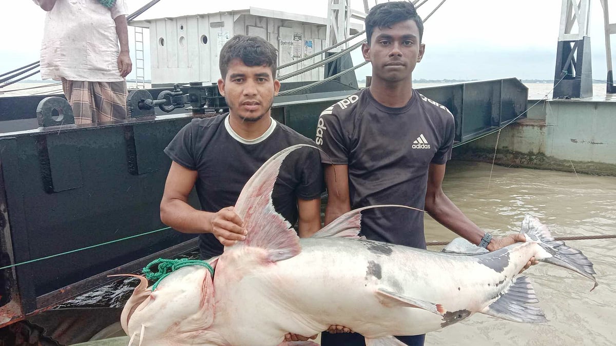 ছবি: প্রথম আলো