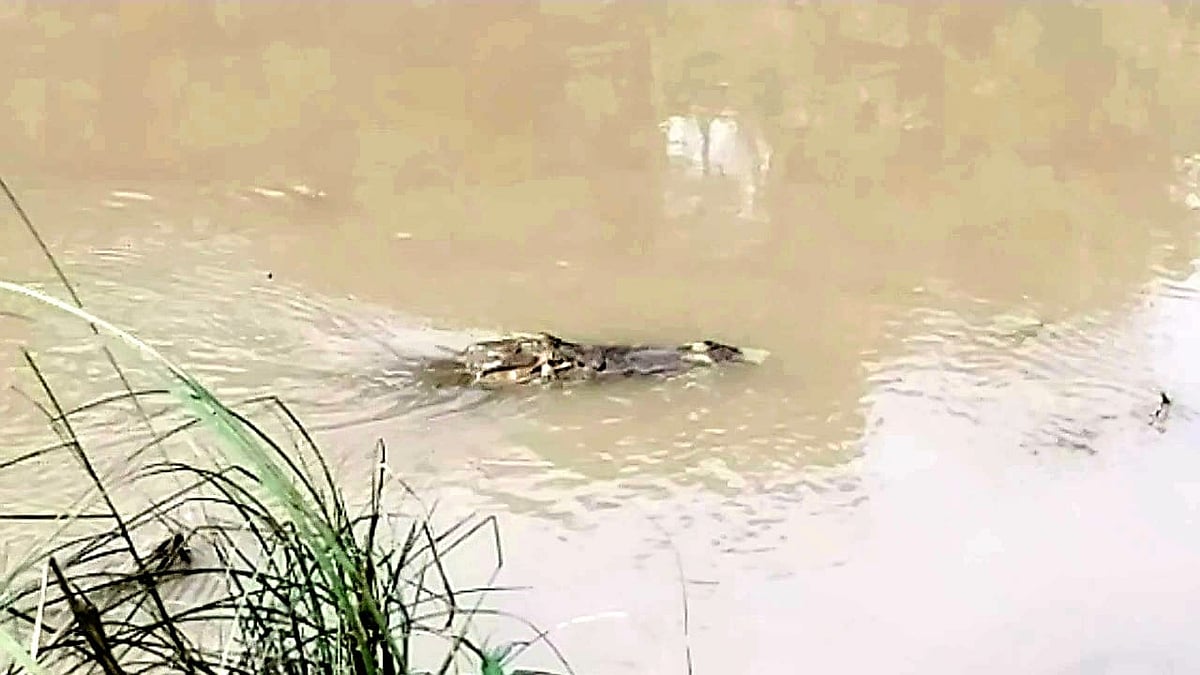 ছবি: প্রথম আলো