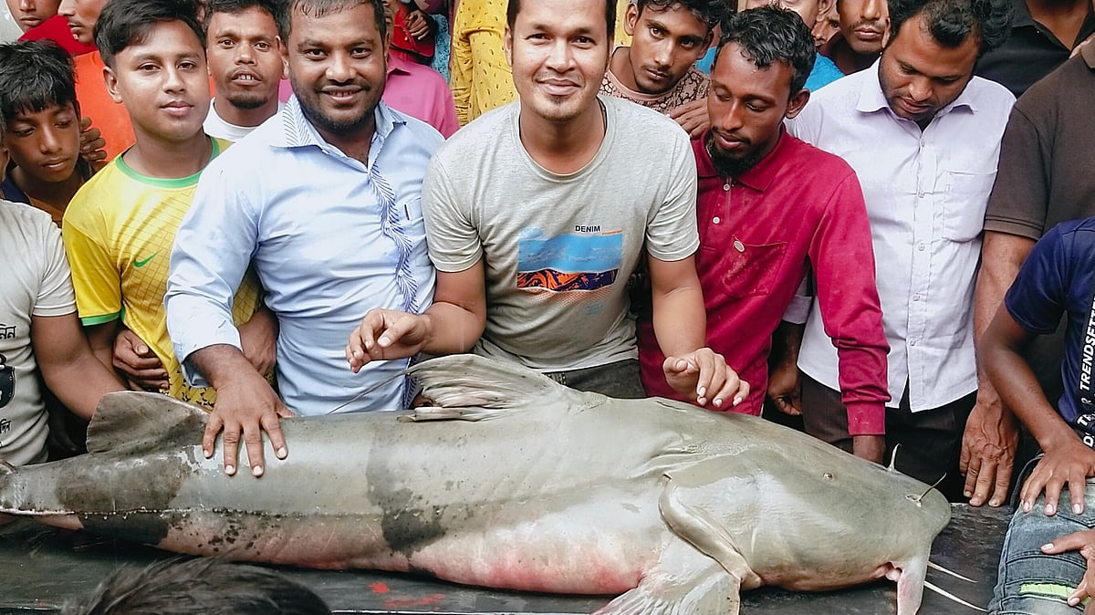 ছবি; সংগৃহীত