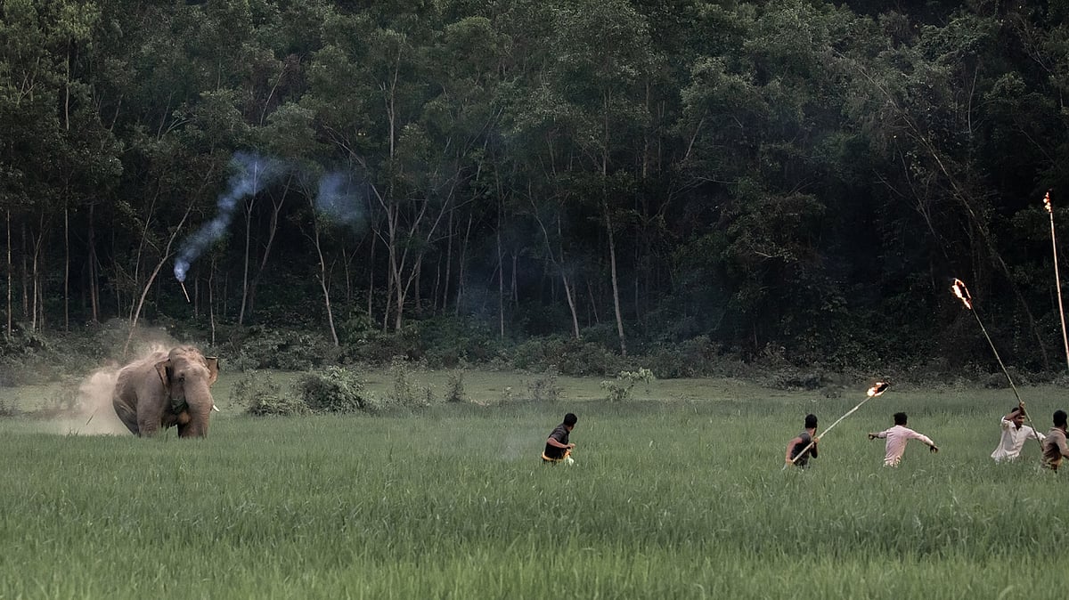 আলোকচিত্রী কে এম আসাদের তোলা ‘ফাইট ফর হোম’ সিরিজের একটি ছবি, ৮ এপ্রিল ২০২২