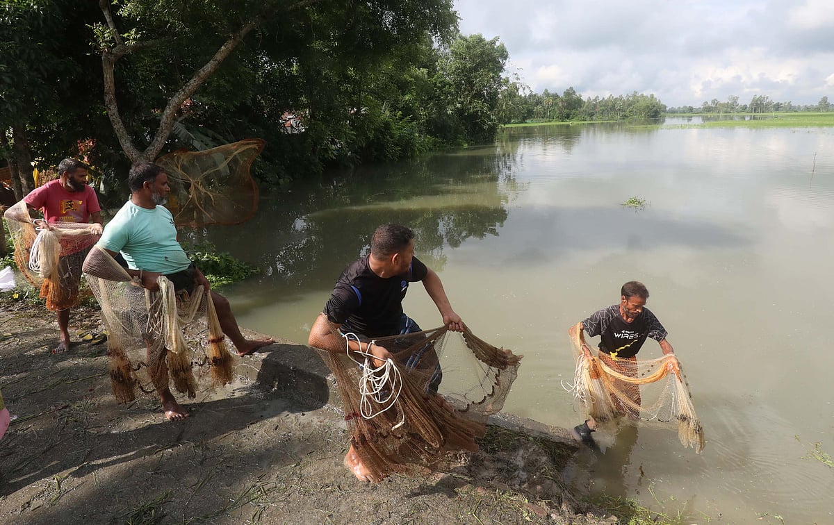 ভারী বর্ষণে গ্রামীণ সড়ক ডুবে স্রোত বইছে। সেখানে দল বেঁধে মাছ শিকারে নেমেছেন গ্রামের মানুষেরা।