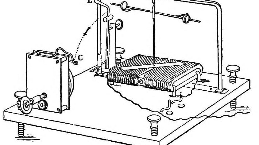 উইকিমিডিয়া