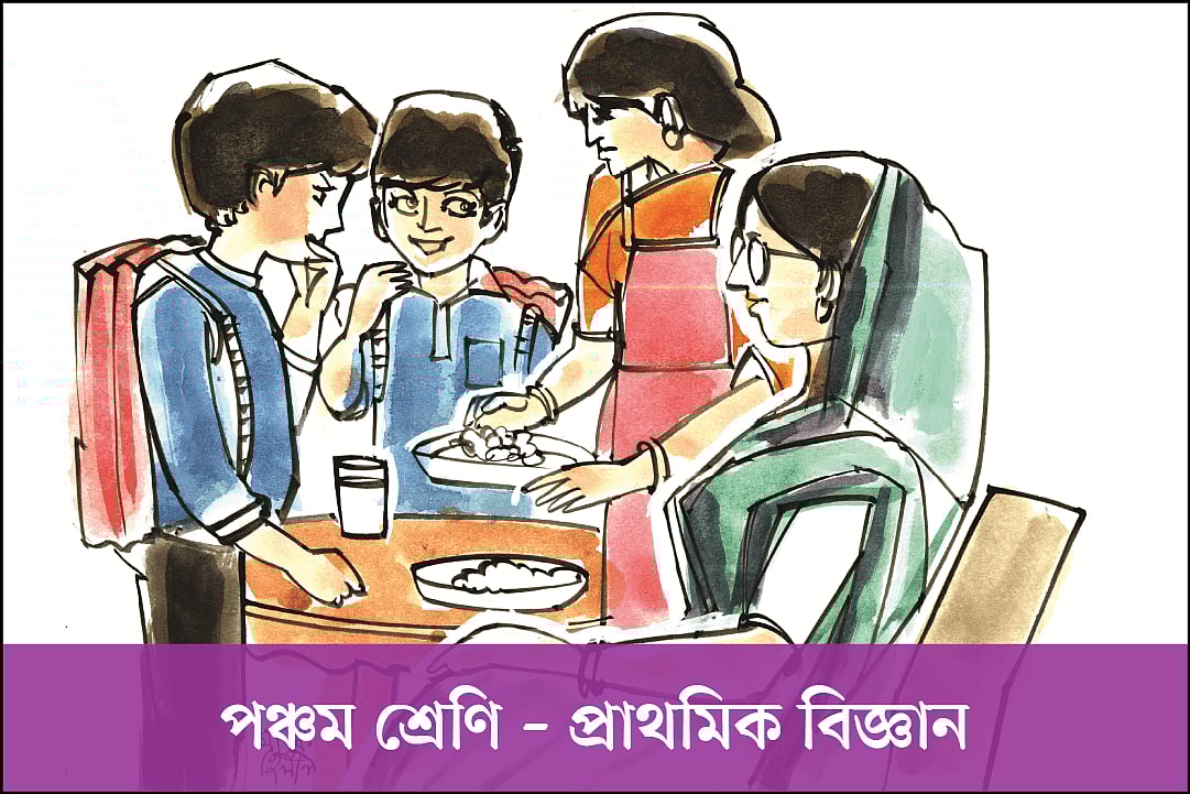 প্রাথমিক বিজ্ঞানের ৫০টি সত্য–মিথ্যা নির্ণয়