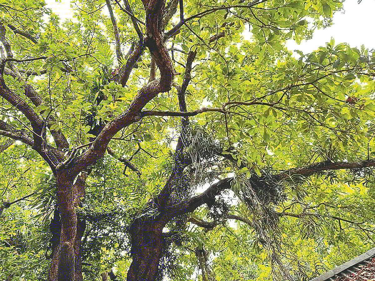 ছবি: প্রথম আলো