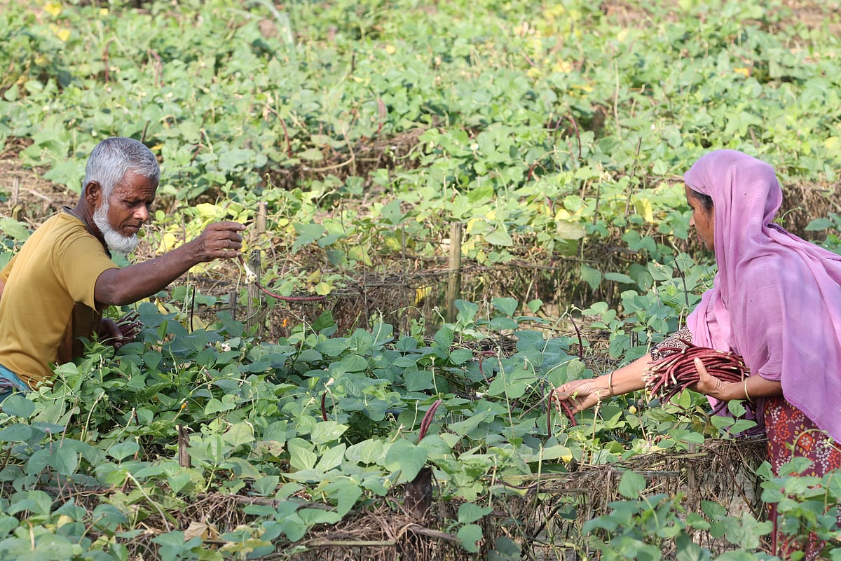 ছবি: মঈনুল ইসলাম