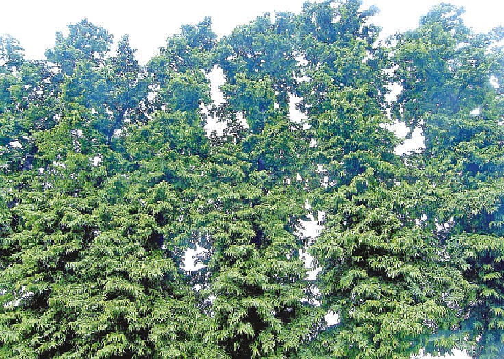 ছবি: লেখক