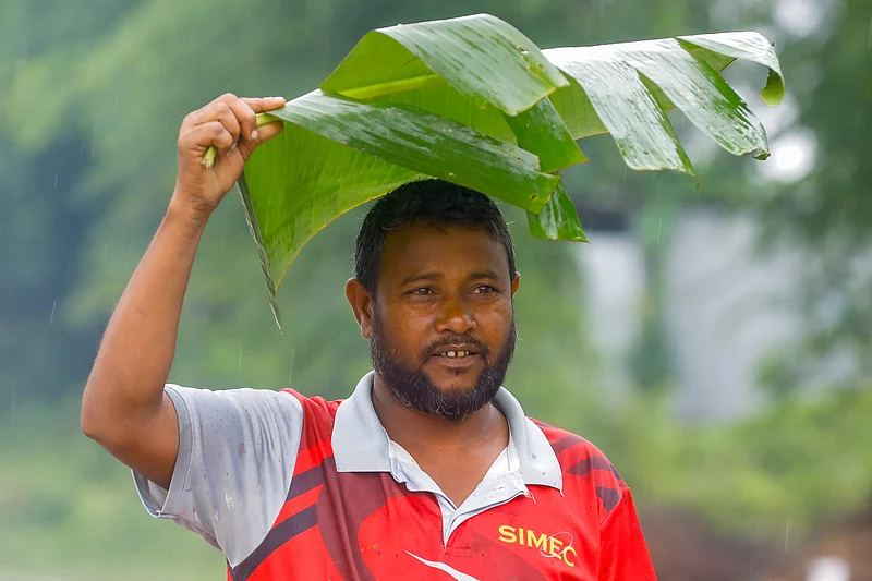ছাতা নেই, তাই কলাপাতা কেটে বৃষ্টি থেকে মাথা রক্ষার চেষ্টা।