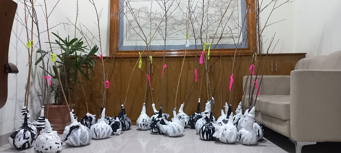 ছবি: প্রথম আলো