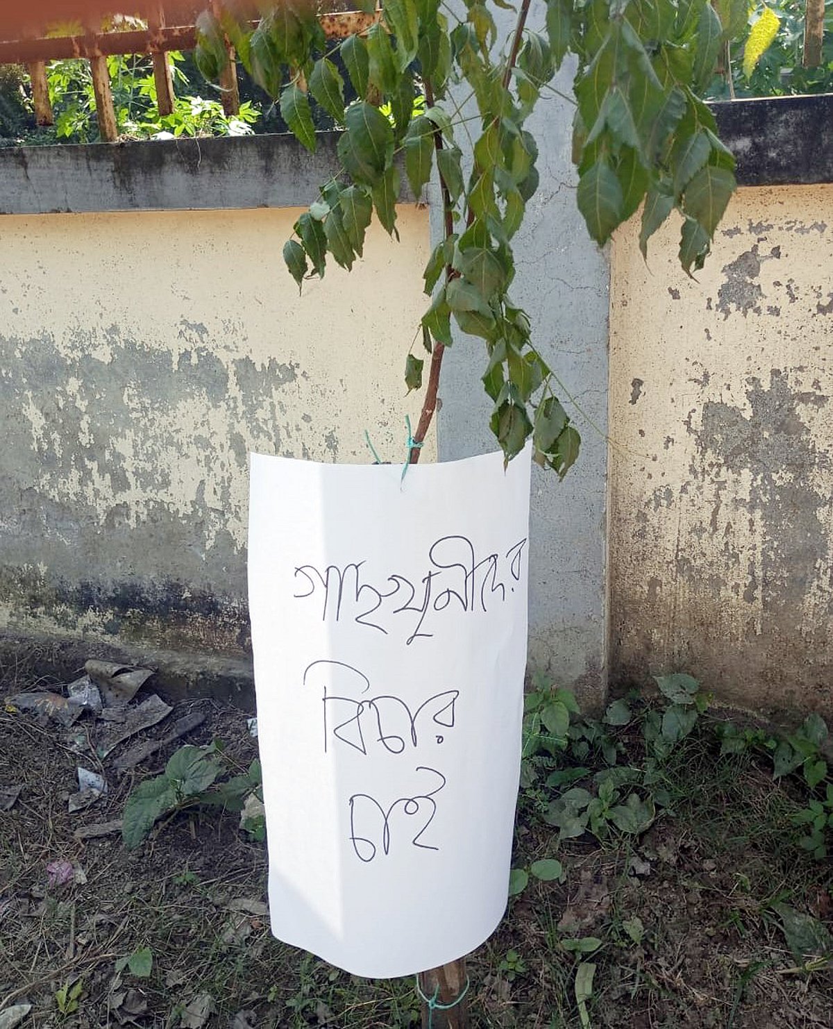  ছবি: প্রথম আলো