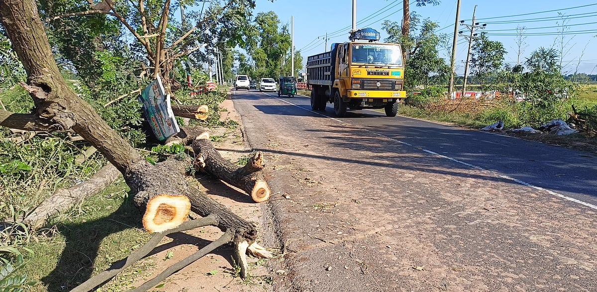ছবি: প্রথম আলো