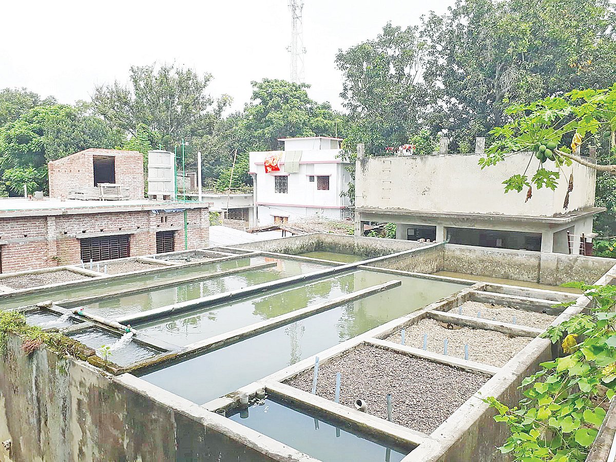 ছবি: প্রথম আলো