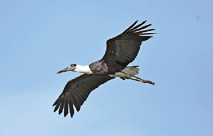 ছবি: লেখক