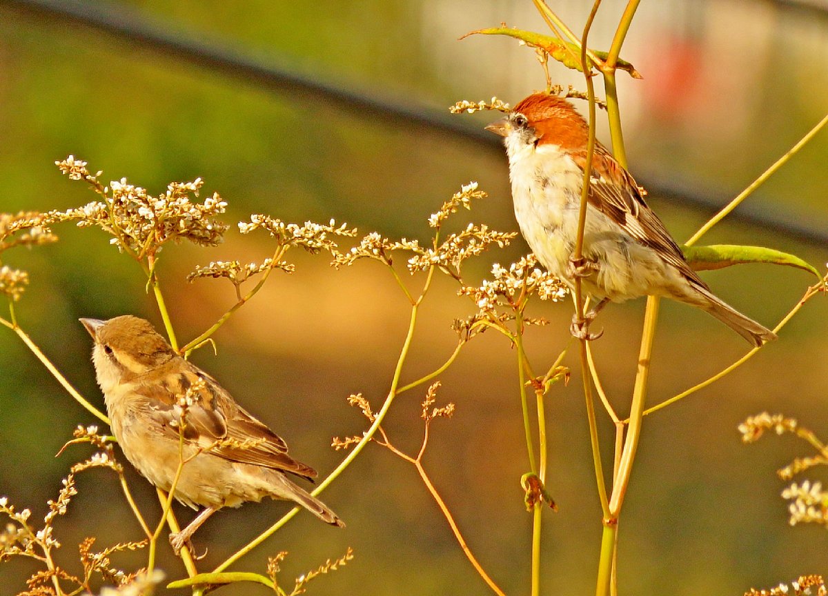ছবি: লেখক