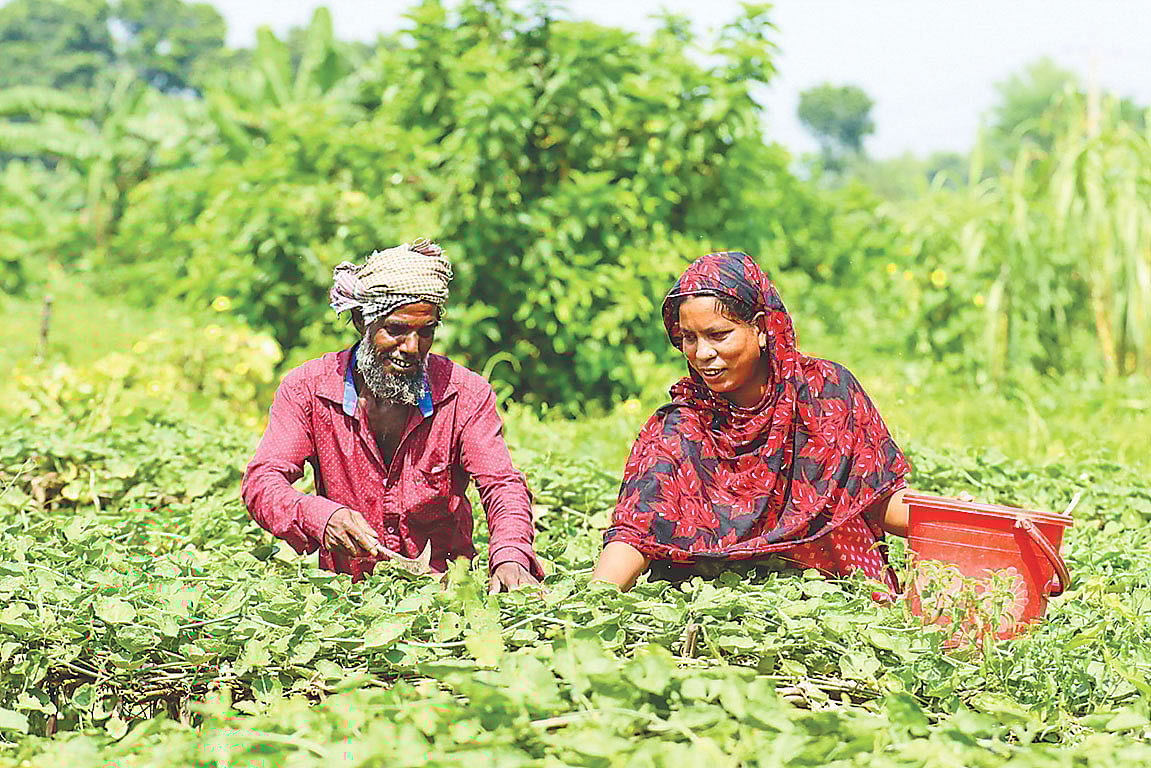 কৃষিতে নারীর শ্রম কেন অদৃশ্যই থেকে যায়