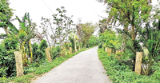 ছবি: লেখক