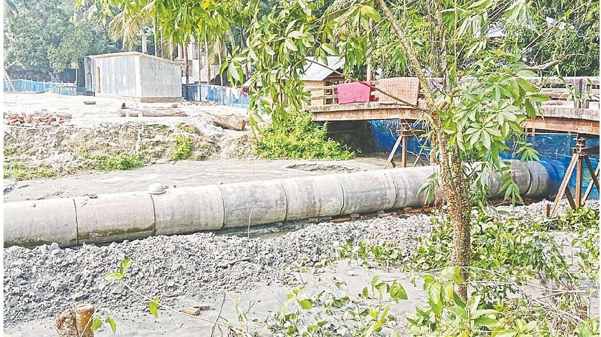 ছবি: প্রথম আলো