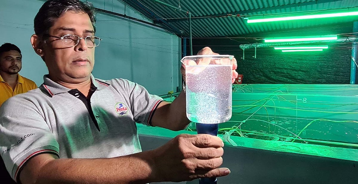 ছবি-সংগৃহীত