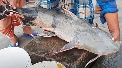 ছবি: সংগৃহীত