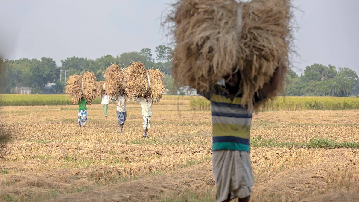 ছবি: হাসান মাহমুদ