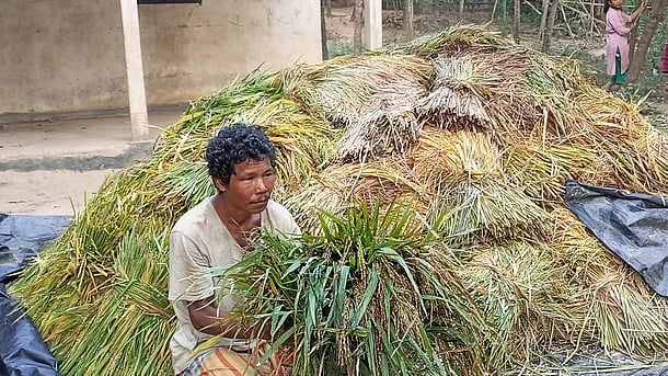 ছবি: প্রথম আলো