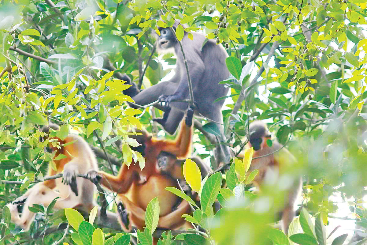 ছবি: লেখক