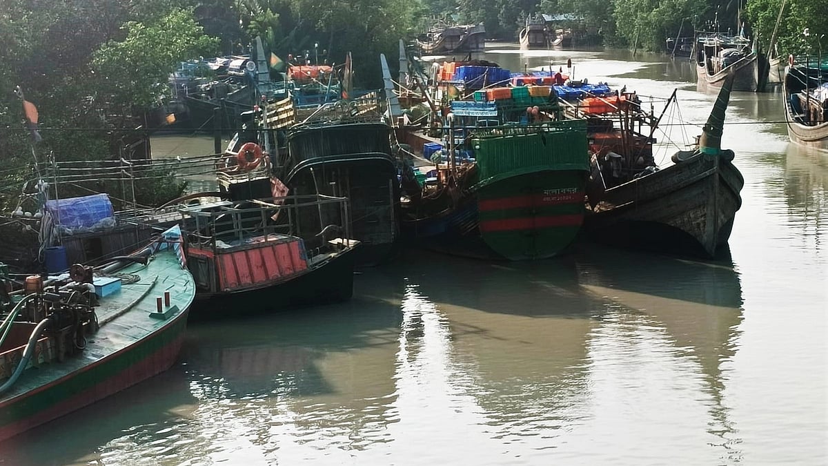 ফাইল ছবি: প্রথম আলো