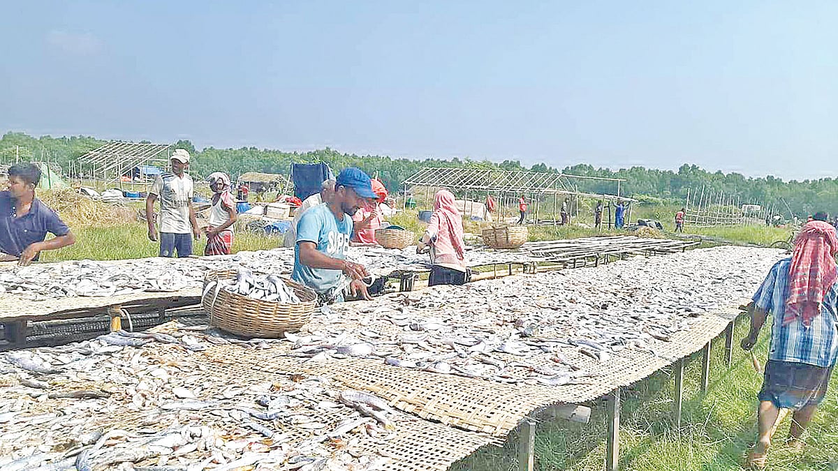 প্রথম আলো 