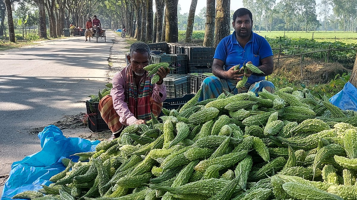 ছবি: প্রথম আলো