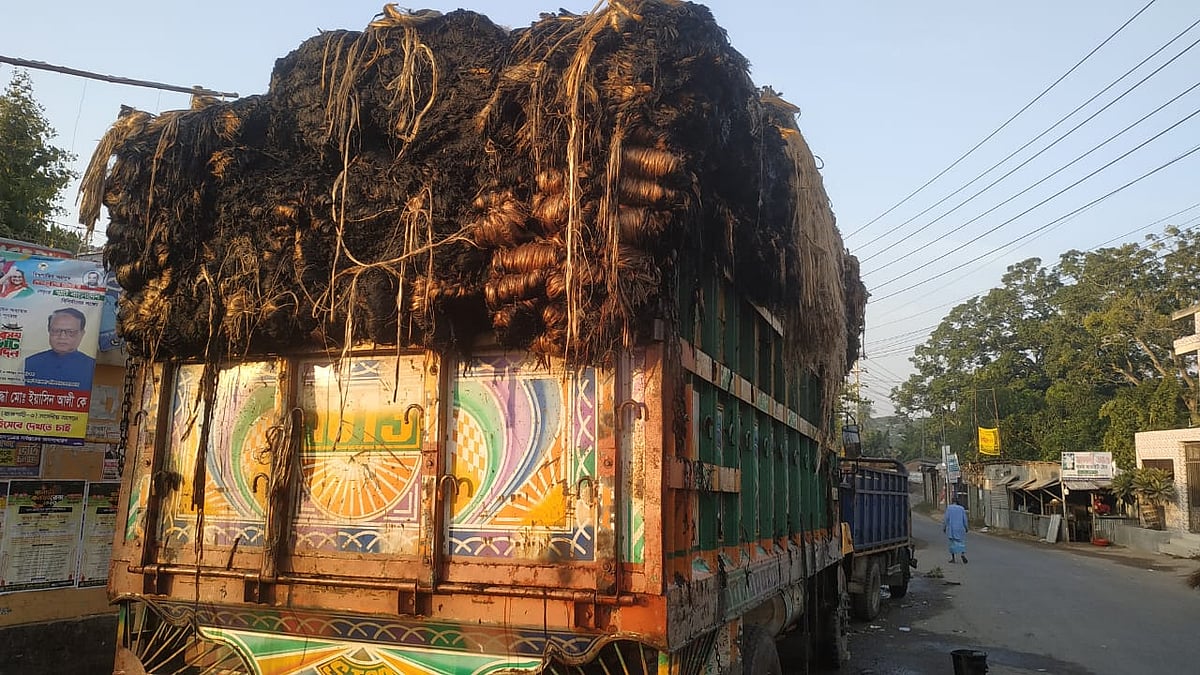 ছবি: প্রথম আলো