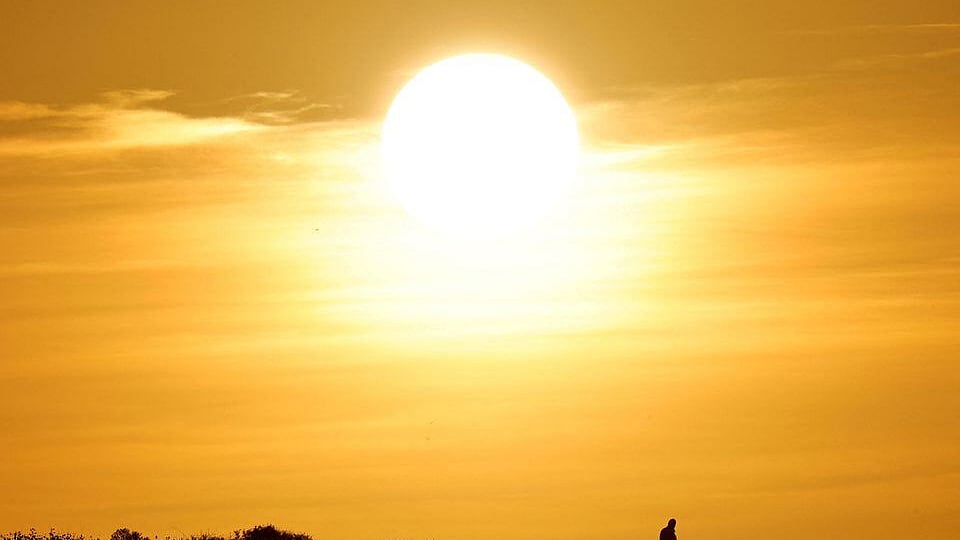 ছবি: রয়টার্স