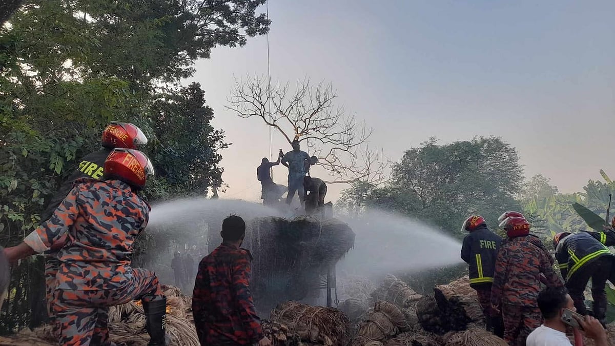 ছবি: প্রথম আলো