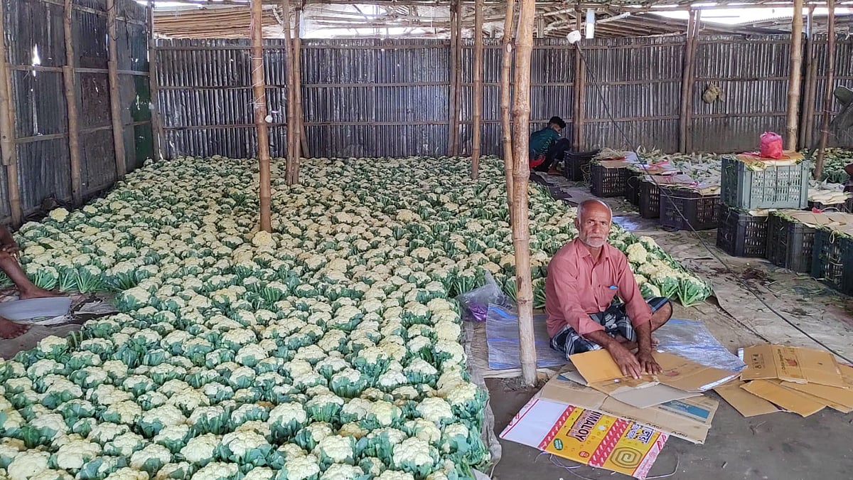 ছবি: প্রথম আলো