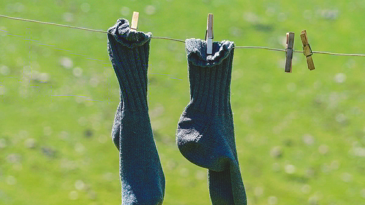 ছবি: পেক্সেলস ডটকম