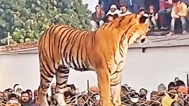 ছবি: টুইটার ভিডিও থেকে নেওয়া