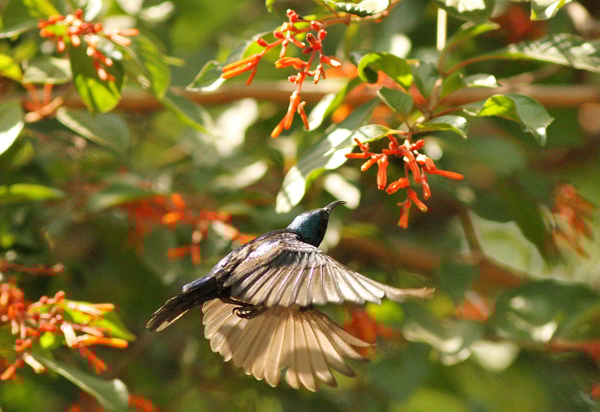 ছবি: লেখক