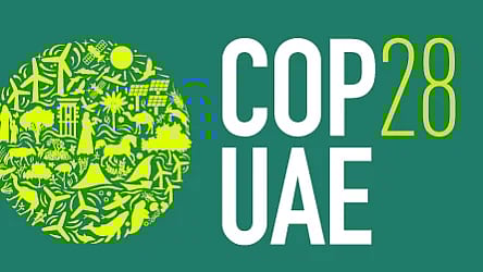 ফাইল ছবি: রয়টার্স