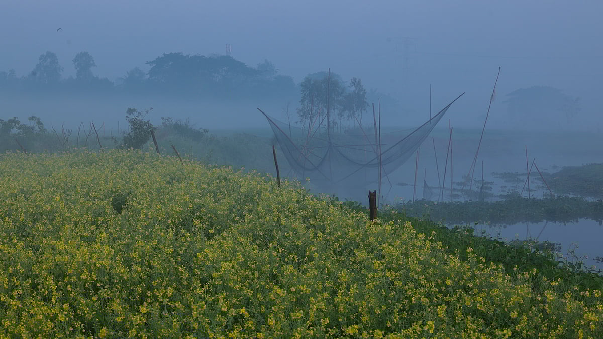 ছবি: কবির হোসেন