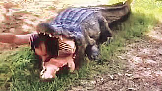 ছবি: ভিডিও থেকে