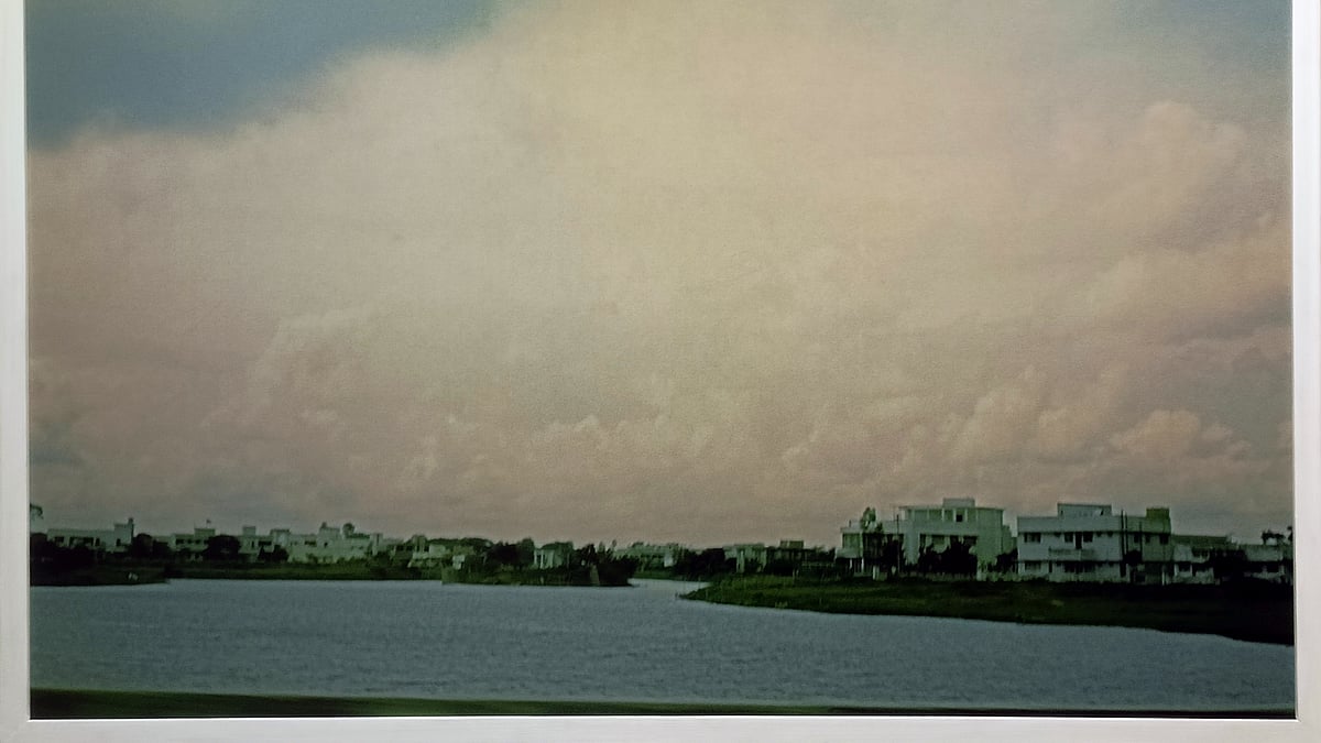 ছবি: ডন ম্যাটসন