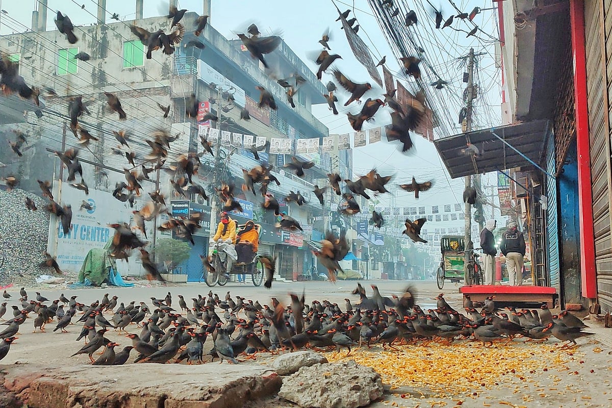  ছবি: হাসান মাহমুদ 