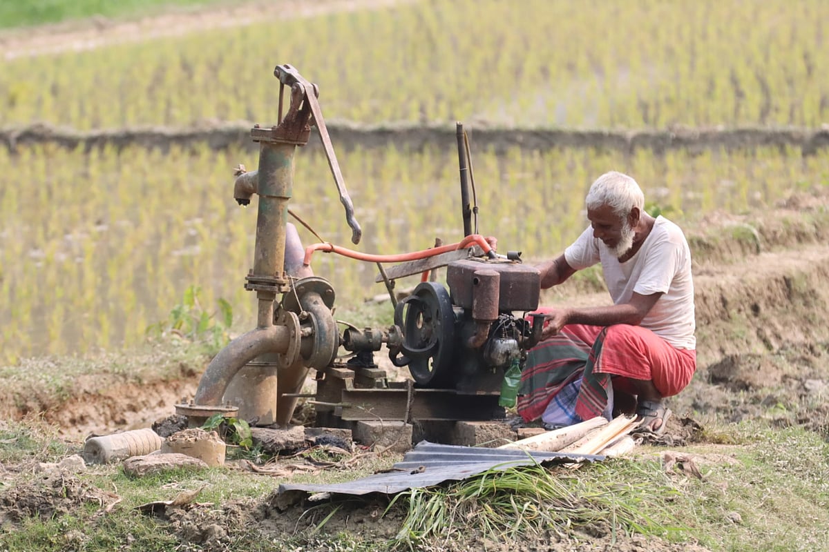 ছবি: আলীমুজ্জামান 