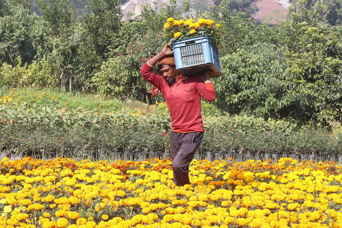 ছবি: মঈনুল ইসলাম 