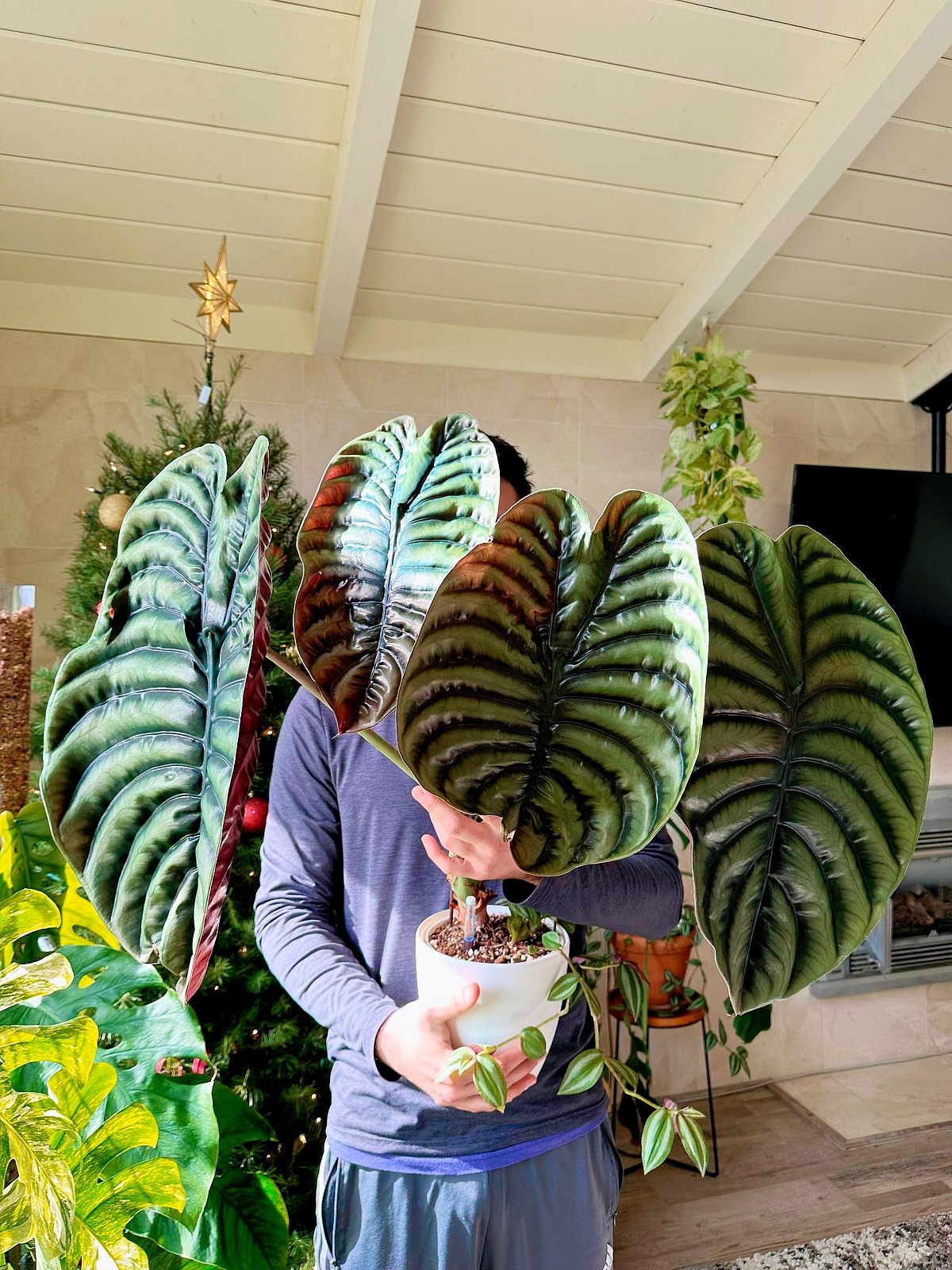 ছবি: ফেসবুক