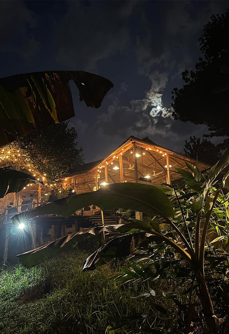 ব্যাকইয়ার্ডে গ্ল্যাম্পিং, বছরের শেষ রাইড