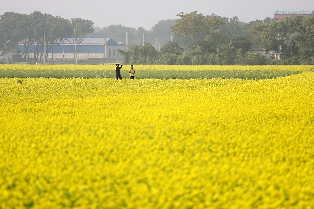 ছবি: হাসান মাহমুদ 