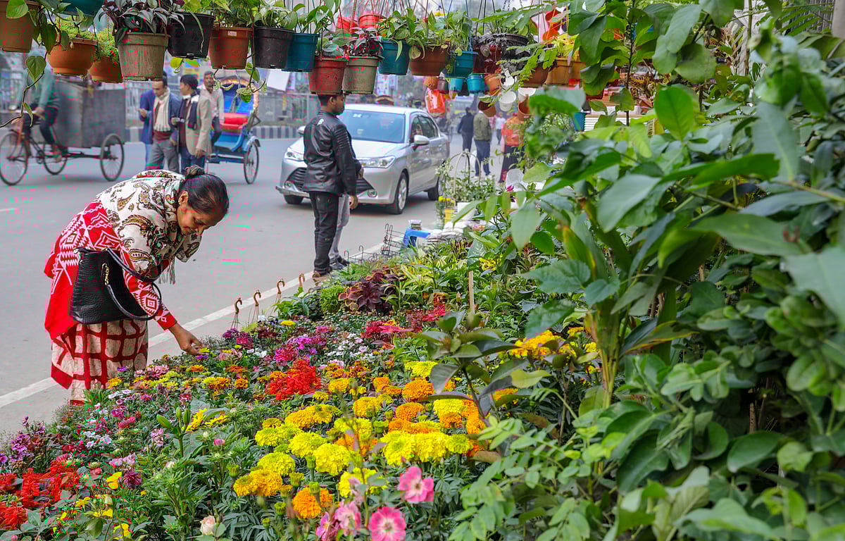 ছবি: সাবিনা ইয়াসমিন