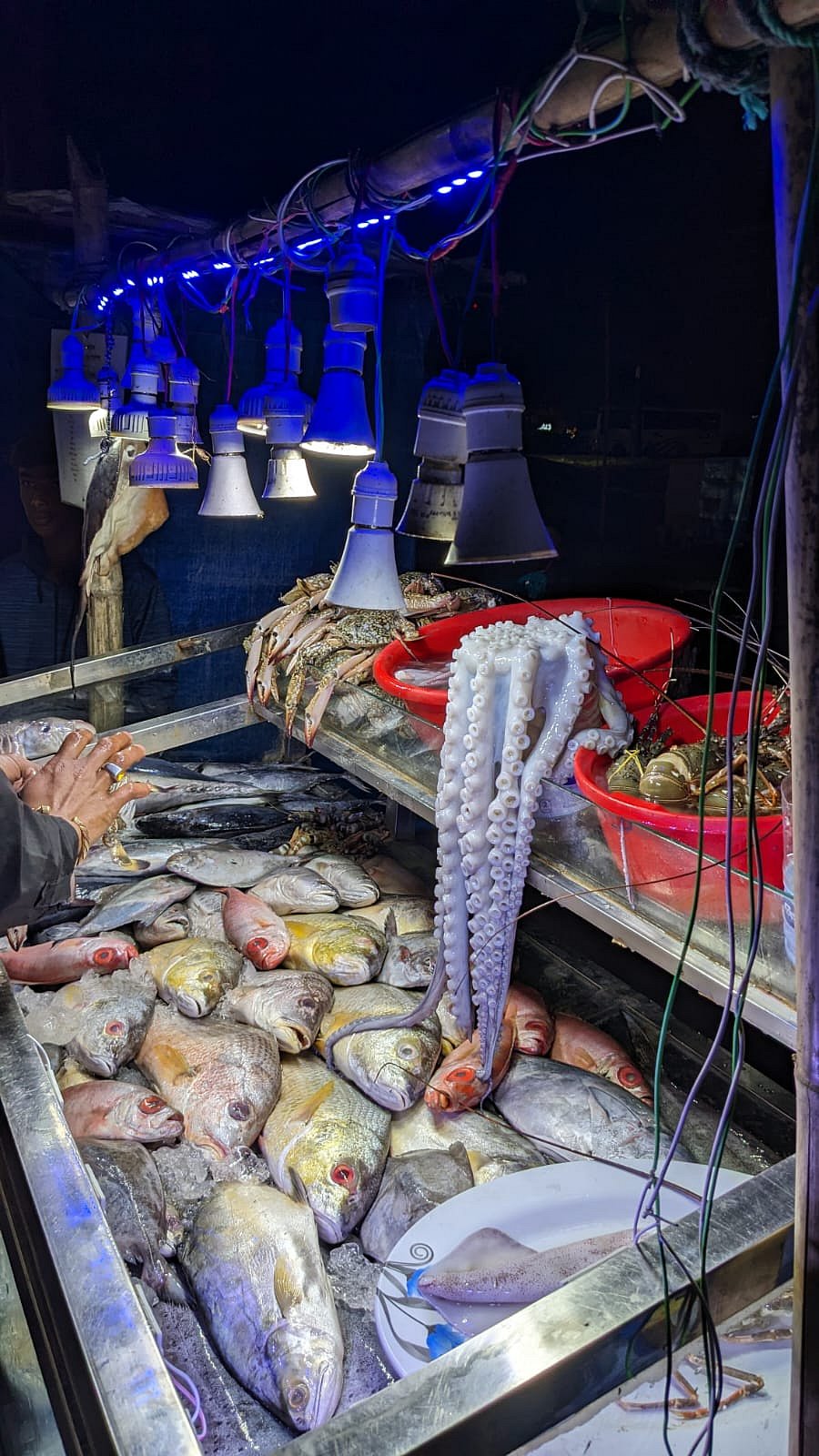 কক্সবাজারের সুগন্ধা বিচের সি ফুড