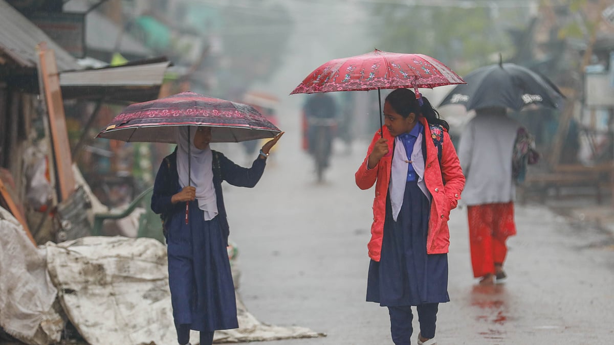 ফাইল ছবি: প্রথম আলো 