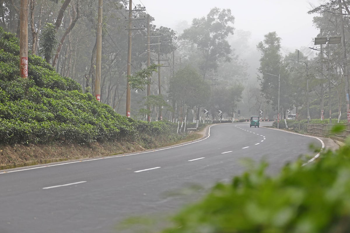 কুয়াশায় ঢেকে আছে সিলেটের মালনীছড়া চা-বাগান ও সড়ক।